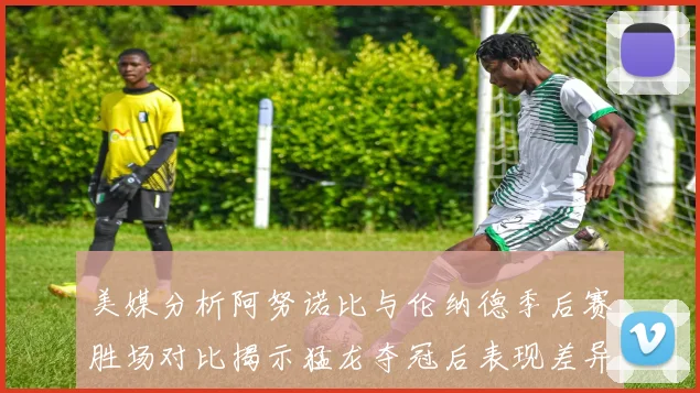 美媒分析阿努诺比与伦纳德季后赛胜场对比揭示猛龙夺冠后表现差异
